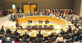 إحدى جلسات مجلس الأمن الدولى. (الإنترنت).
