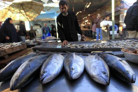 أسماك معروضة لدى بائع في سوق بالسويس في مصر. (رويترز).