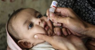 التطعيم ضد شلل الاطفال في مصر"الانترنت"