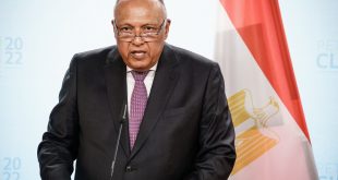 وزير الخارجية المصري سامح شكري (الإنترنت)
