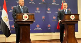 وزير الخارجية المصري سامح شكري ونظيره التركي شاوش أوغلو خلال مؤتمر صحفي سابق. (أرشيفية)