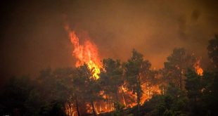 حرائق الغابات في اليونان (أرشيفية)