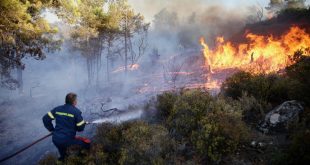 حرائق الغابات في اليونان "أرشيفية)
