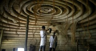 حرفيون يعيدون تأهيل السقف الدائري لأحد المباني التي يتألف منها موقع كاسوبي في كمبالا الذي يضم مقابر ملوك بوغندا، 13 يونيو 2023 .(أ ف ب)