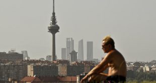 رجل يجلس في حديقة في مدريد وسط موجة حر، 19 يوليو 2023. (أ ف ب)