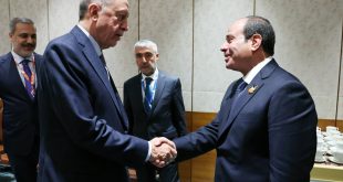 الرئيس السيسي مع نظيره التركي رجب طيب أردوغان (الانترنت)