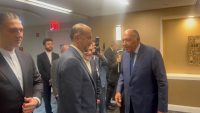 وزير الخارجية المصري سامح شكري ونظيره الإيراني عبداللهيان خلال لقاء في نيويورك، الأربعاء. (وزارة الخارجية)
