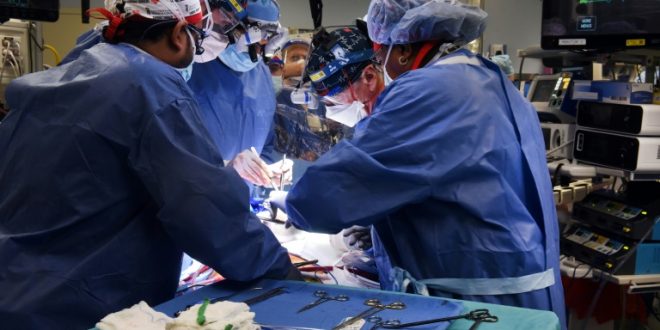 جراحون في كلية الطب بجامعة ميريلاند الأميركية يزرعون قلب خنزير في جسم مريض في بالتيمور، في السابع من يناير 2022. (أ ف ب)