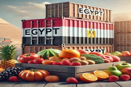 DALL·E 2024 11 13 21.03.12 A realistic natural photograph showcasing Egyptian food exports. The scene includes fresh fruits like oranges strawberries and grapes along with v