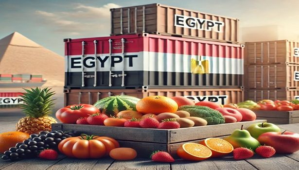 DALL·E 2024 11 13 21.03.12 A realistic natural photograph showcasing Egyptian food exports. The scene includes fresh fruits like oranges strawberries and grapes along with v
