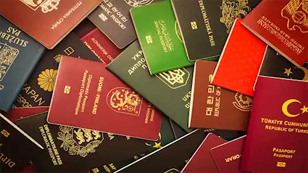 2024 12 17 23 52 0 989