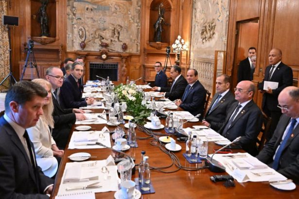 السيسي ورئيس وزراء إيرلندا يتفقان على ضرورة توسيع الاعتراف الدولي بفلسطين