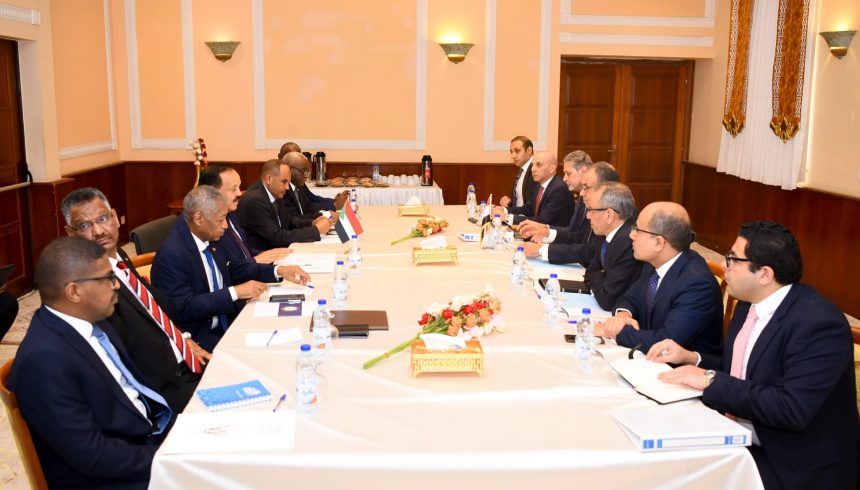 لقاء وزير الخارجية ونظيره السوداني