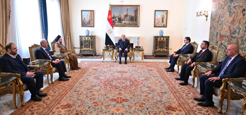 السيسي خلال لقائه عمار الحكيم