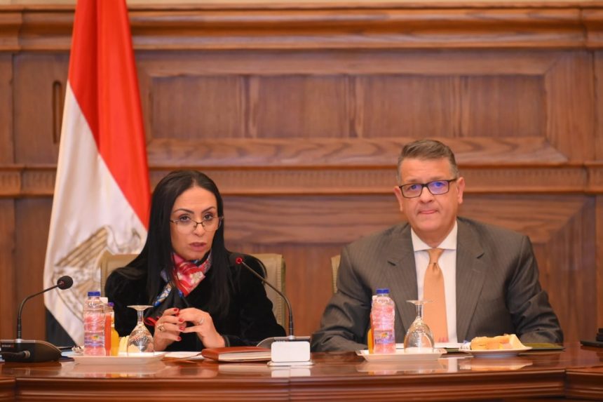 وزيرة التضامن الاجتماعي أمام لجنة حقوق الإنسان بمجلس النواب