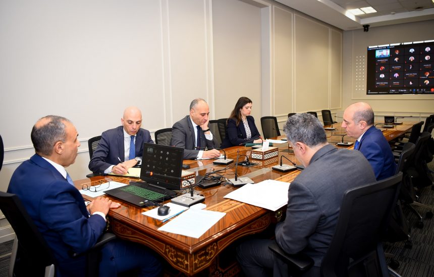 وزير الخارجية والهجرة يعقد اجتماعاً افتراضياً مع سفراء مصر بالخارج