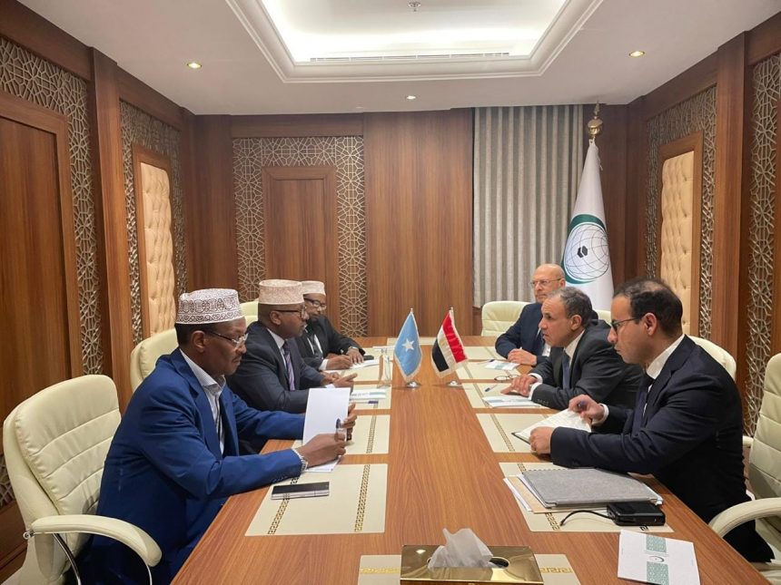 وزير الخارجية والهجرة يعقد لقاءً مع نظيره الصومالي