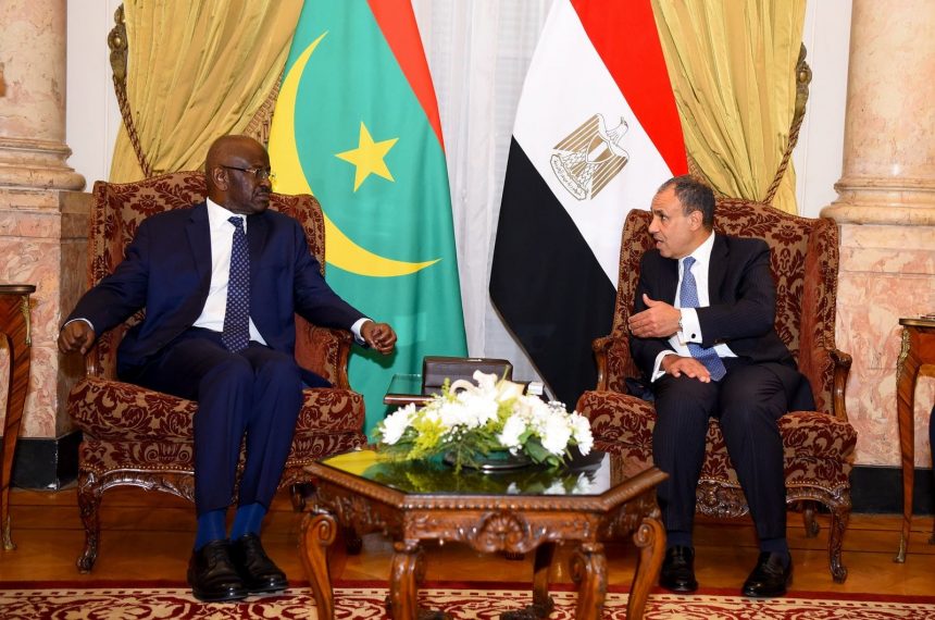 وزير الخارجية ونظيره الموريتاني