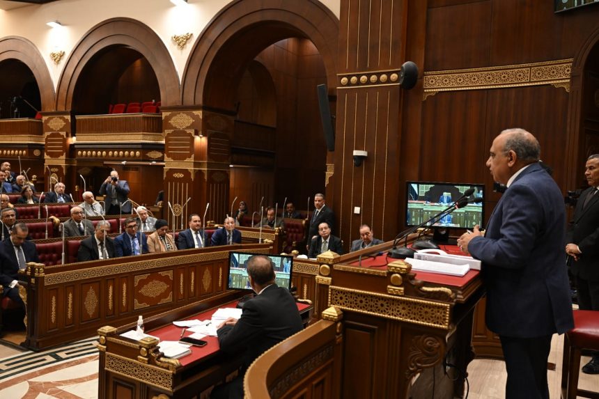 وزير الكهرباء أمام مجلس الشيوخ