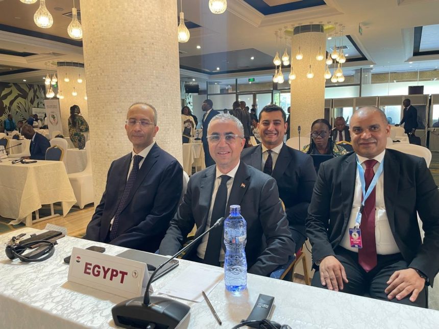 مصر تتسلم مجلس وزراء التجارة لمنطقة التجارة الحرة القارية الأفريقية