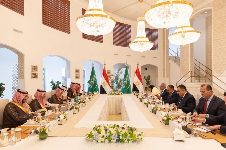 وزير الخارجية والهجرة يترأس وفد مصر في أعمال لجنة المتابعة والتشاور السياسي مع السعودية في الرياض