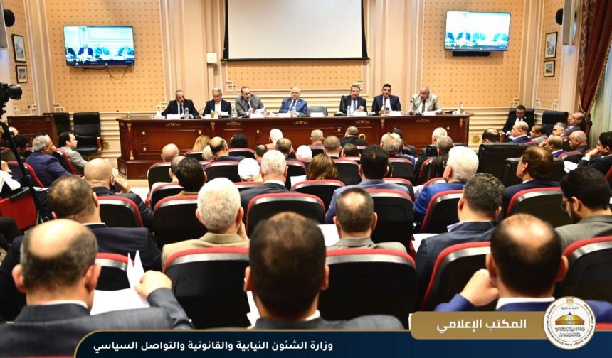 وزير الشئون النيابية المستشار محمود فوزي
