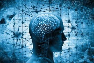blue brain neurons 457489