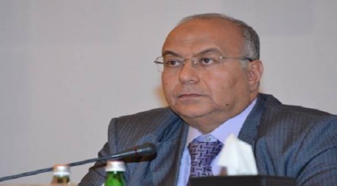 د. محمد السعيد إدريس