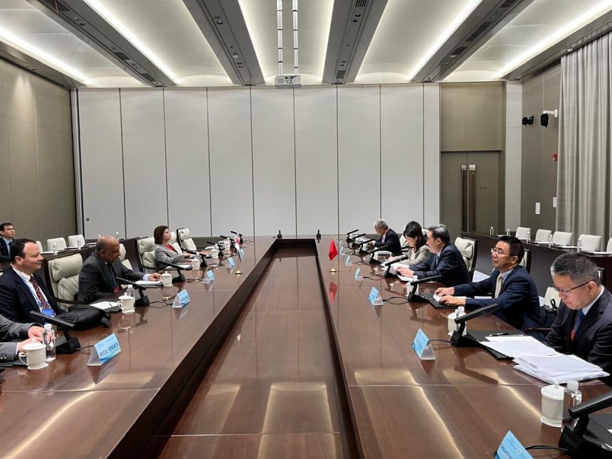 وزير الكهرباء يبحث مع مسؤول صيني نقل وتوطين تكنولوجيا صناعة الخلايا الشمسية وتوربينات الرياح