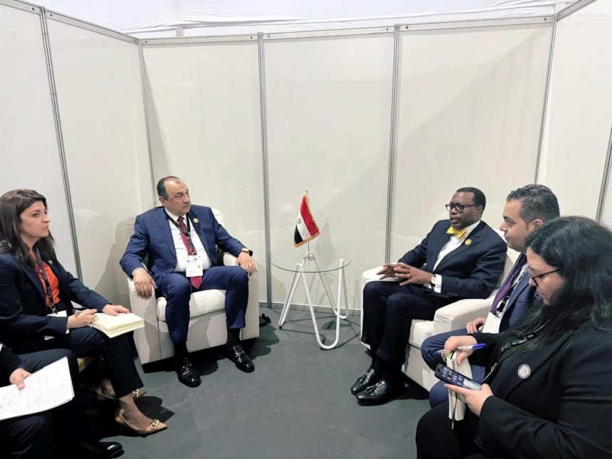 وزير قطاع الأعمال العام يلتقي رئيس مجموعة البنك الأفريقي للتنمية