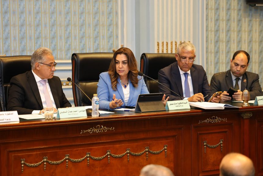 وزيرة التنمية المحلية