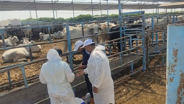 الزراعة