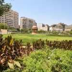 حديقة الأزبكية