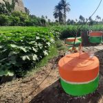 إنتاج الغاز الحيوي والسماد العضوي. الشرقية تتصدر محافظات مصر وتوجيهات بنشر وحدات البيوجاز