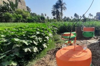 إنتاج الغاز الحيوي والسماد العضوي. الشرقية تتصدر محافظات مصر وتوجيهات بنشر وحدات البيوجاز
