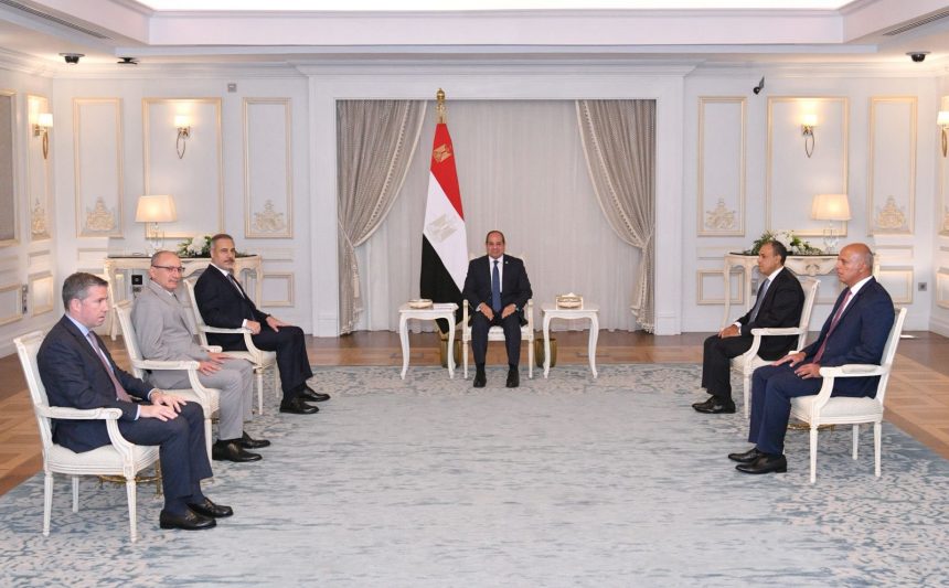 السيسي ووزير خارجية تركيا
