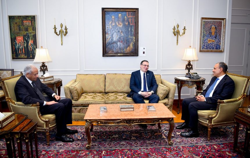 وزير الخارجية والهجرة يبحث مع رئيس المركزي للتنظيم والإدارة تدريب عناصر أفريقية