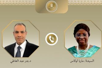 وزير الخارجية يؤكد لنظيره الموزمبيقي أهمية الترتيب لعقد جولة المشاورات السياسية بين البلدين