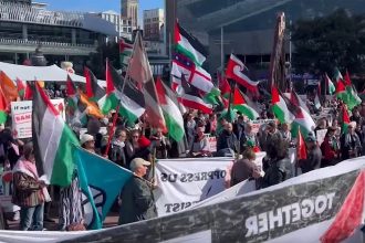 Thousands participate in a pro Palestinian march in New Zealands largest city