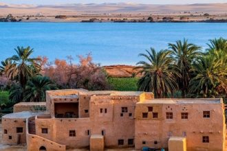 حماية وتنمية البحيرات يدعم واحة سيوة بمليون ذريعة سمكية
