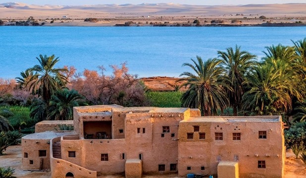 حماية وتنمية البحيرات يدعم واحة سيوة بمليون ذريعة سمكية