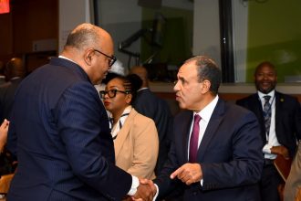 وزير الخارجية والهجرة يلتقي وزير خارجية تنزانيا على هامش اجتماعات الجمعية العامة