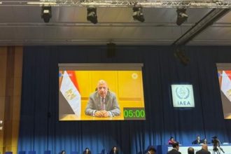 وزير الكهرباء والطاقة المتجددة