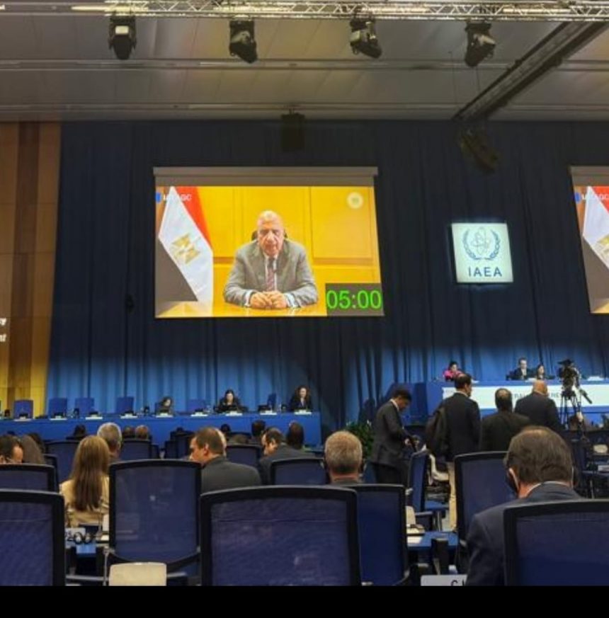 وزير الكهرباء والطاقة المتجددة