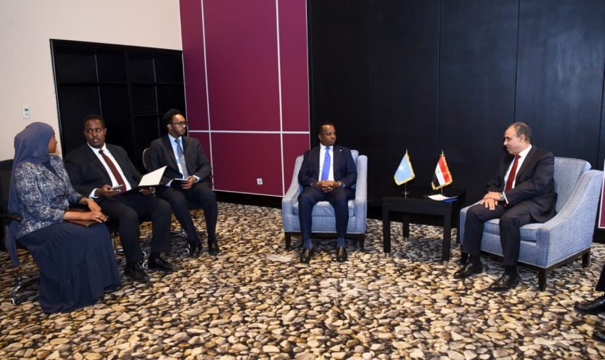 وزير الخارجية يؤكد لنظيره الصومالي جدد التزام مصر بدعم بناء مؤسسات مقديشو وتحقيق الأمن والاستقرار 1 WhatsApp Image 2025 10 20 at 17.41.03 808dd050