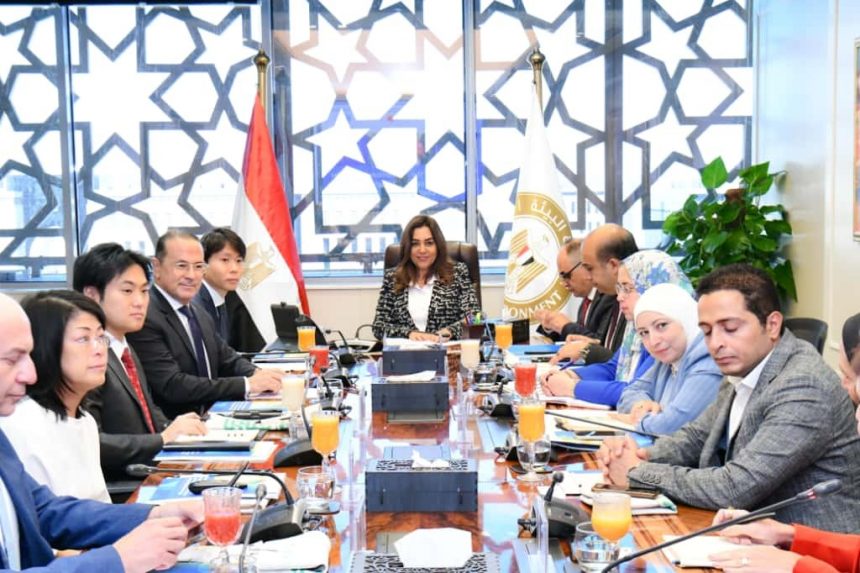 التنمية المحلية
