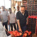 رسميا.. فتح السوق الفنزويلية أمام صادرات مصر من الرمان الطازج 3 الرمان المصري