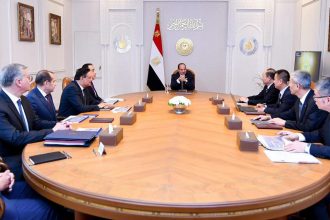 السيسي خلال لقائه مو دينغيه رئيس مجلس إدارة مجموعة الصين الوطنية للهندسة الكيميائية
