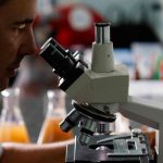 دراسة: الفيروسات قد تساعد في علاج عدوى المكورات العنقودية الذهبية المميتة 3 الفيروسات