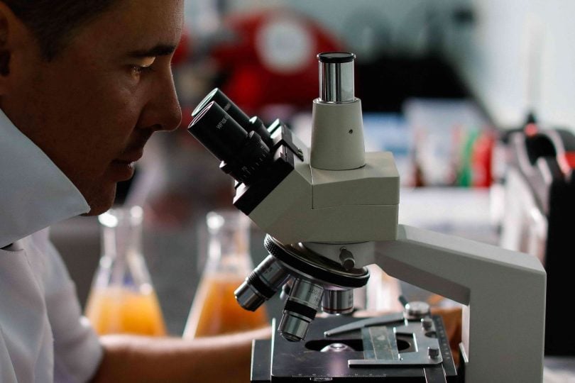 دراسة: الفيروسات قد تساعد في علاج عدوى المكورات العنقودية الذهبية المميتة 1 الفيروسات